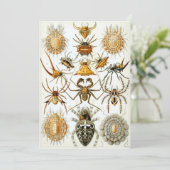 Spinnen Einladung (Stehend Vorderseite)