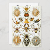 Spinnen Einladung (Vorne/Hinten)