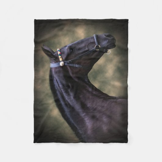 Spinnen-Fleecedecke Fleecedecke (Vorderseite)