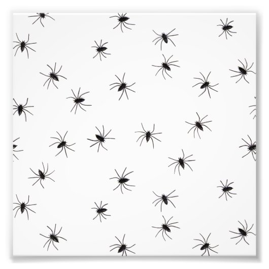 Spinnen Fotodruck (Vorne)