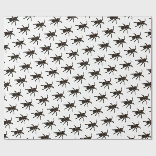 Spinnen Geschenkpapier (Flach)