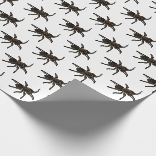 Spinnen Geschenkpapier (Ecke)