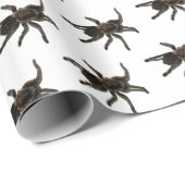 Spinnen Geschenkpapier (Rolleneckpunkt)