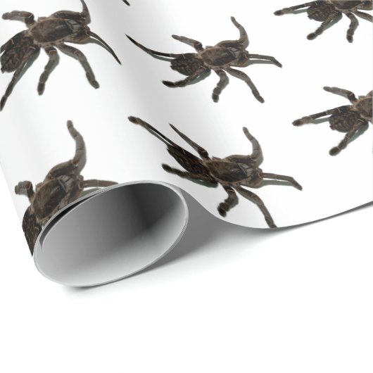 Spinnen Geschenkpapier (Rolleneckpunkt)