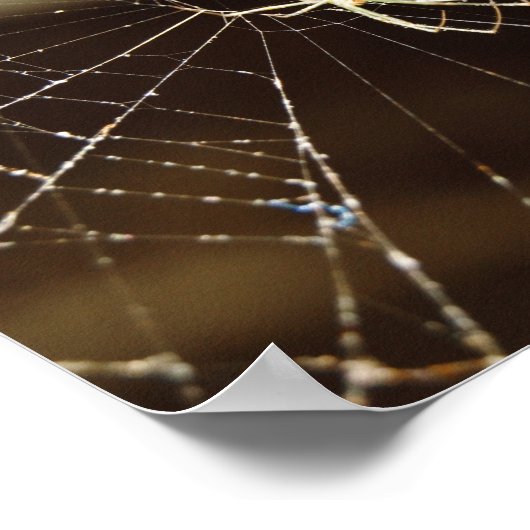 Spinnen im Netz Poster (Ecke)