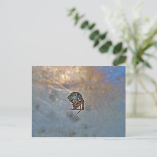 Spinnen im Web Postkarte (Stehend Vorderseite)