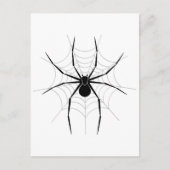 Spinnen im Web Postkarte (Vorderseite)