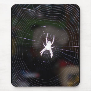 Spinnen in ihrem Web Mousepad