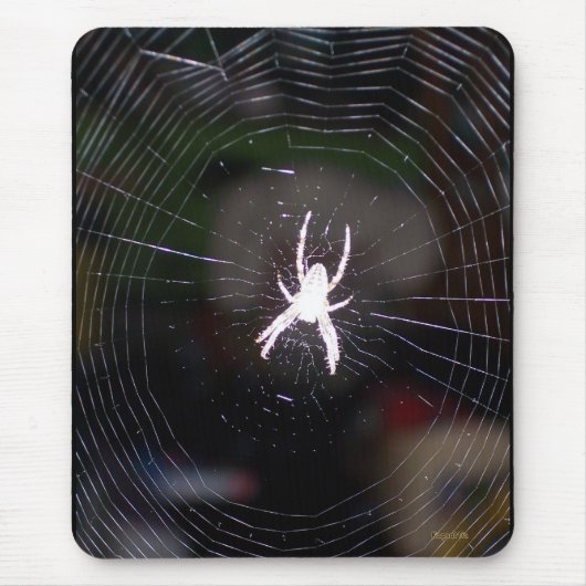 Spinnen in ihrem Web Mousepad (Vorne)