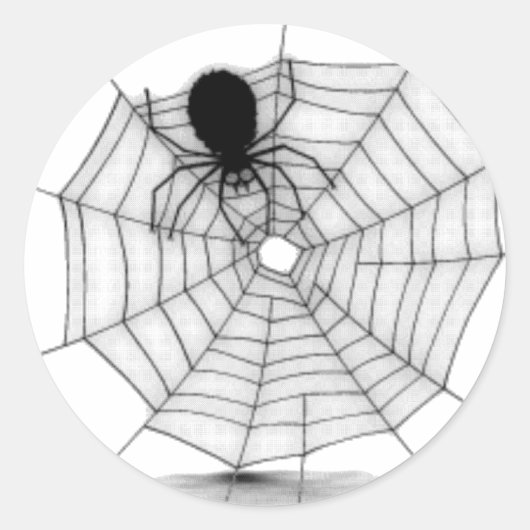Spinnen in seinem Web Runder Aufkleber (Vorderseite)