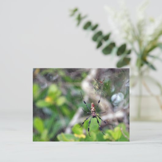 Spinnen in Web Postcard Postkarte (Stehend Vorderseite)