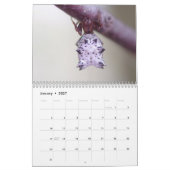 Spinnen! Kalender (Jan 2027)