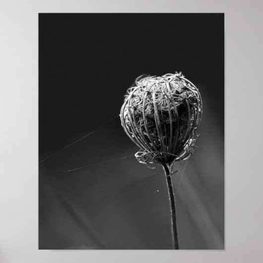 Spinnen mit Wildblume | Matching Spider Lovers Poster (Vorne)