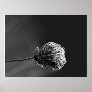 Spinnen mit Wildblume Matching Spider Lovers Poster