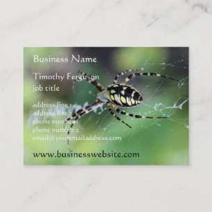 Spinnen-mollige Visitenkarten Visitenkarte