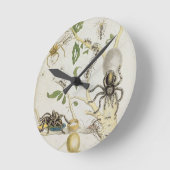 Spinnen: Mygole, überziehen 18 von 'über de Runde Wanduhr (Winkel)