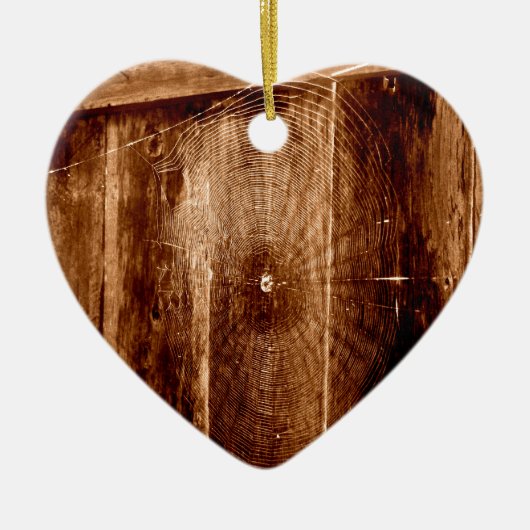 Spinnen-Netz auf Zaun Keramikornament (Vorne)