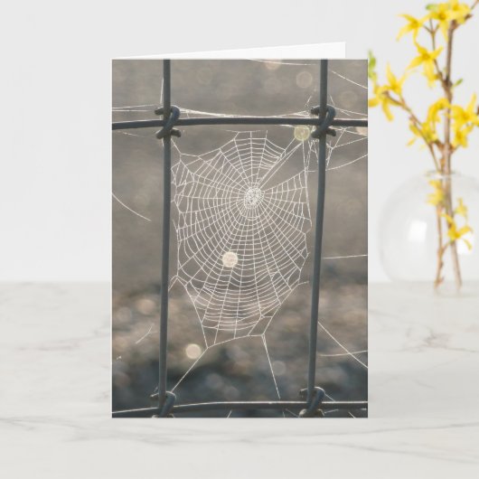 Spinnen-Netz-Karte Karte (Gelbe Blume)