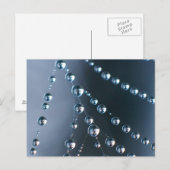 Spinnen-Netz mit Tröpfchen Postkarte (Vorne/Hinten)