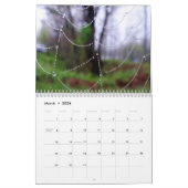 Spinnen-Netz-Wandkalender Kalender (Mär 2026)