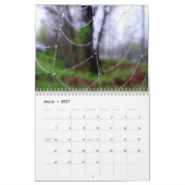 Spinnen-Netz-Wandkalender Kalender (Mär 2027)