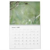 Spinnen-Netz-Wandkalender Kalender (Jan 2027)
