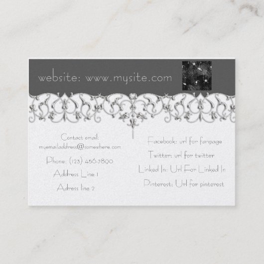 Spinnen-Netze Visitenkarte (Rückseite)