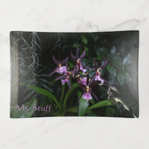 Spinnen-Orchideen-lila Blumen Dekoschale