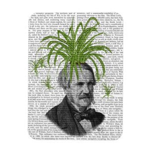 Spinnen-Pflanzen-Kopf Magnet