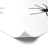 Spinnen Poster (Ecke)
