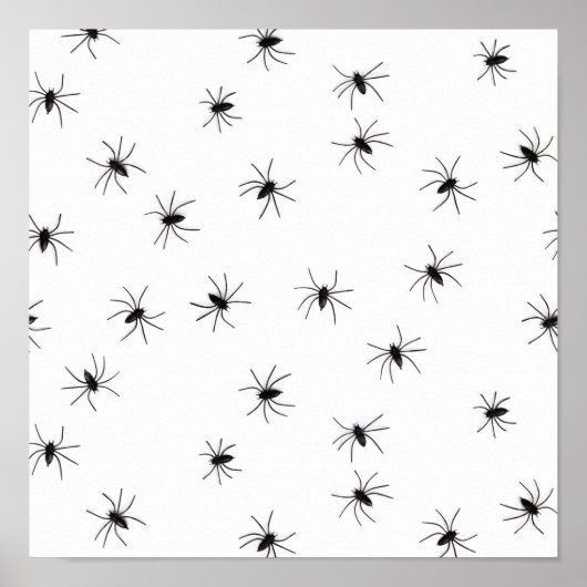 Spinnen Poster (Vorne)