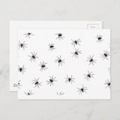 Spinnen Postkarte (Vorne/Hinten)