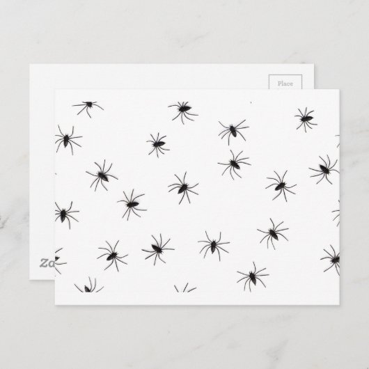 Spinnen Postkarte (Vorne/Hinten)