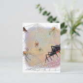 Spinnen Postkarte (Stehend Vorderseite)