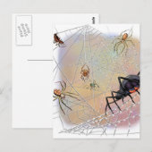 Spinnen Postkarte (Vorne/Hinten)