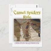 Spinnen Postkarte (Vorne/Hinten)