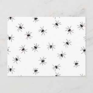 Spinnen Postkarte
