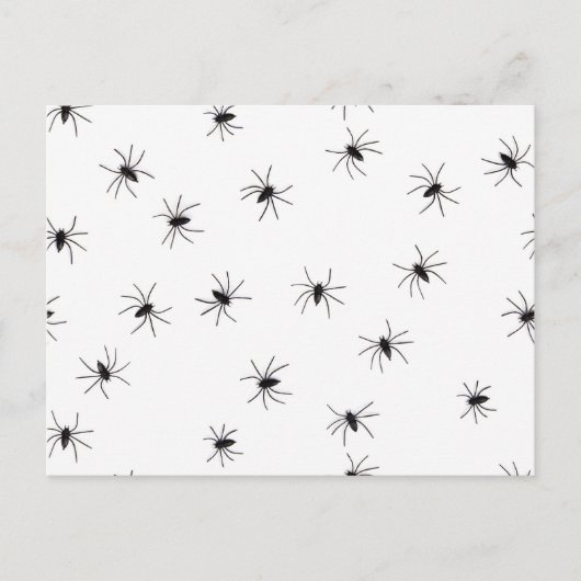 Spinnen Postkarte (Vorderseite)