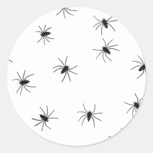 Spinnen Runder Aufkleber (Vorderseite)