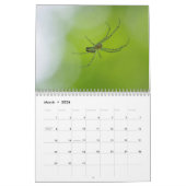 Spinnen sind fantastisch! Kalender (Mär 2026)