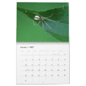 Spinnen sind fantastisch! Kalender (Jan 2027)