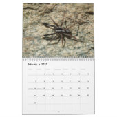 Spinnen sind fantastisch! Kalender (Feb 2027)