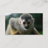 Spinnen-Tour-Karte Visitenkarte (Rückseite)