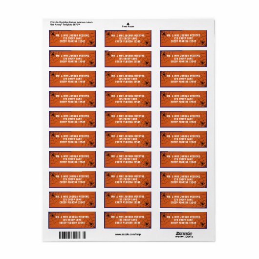 Spinnen und Spinnenwebes (Vorne)