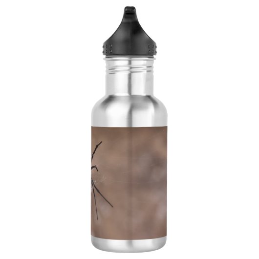 Spinnen Wasserflasche (Rechts)