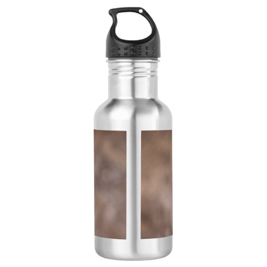 Spinnen Wasserflasche (Rückseite)