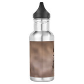 Spinnen Wasserflasche (Links)