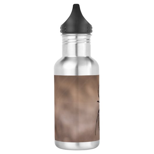 Spinnen Wasserflasche (Links)