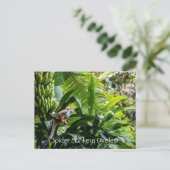 Spinnenaffe (Ateles) Postkarte (Stehend Vorderseite)