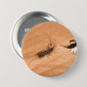 Spinnenassel Button (Vorne & Hinten)